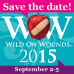 WOW2015_SAVE-THE-DATE-250X211_eHDR
