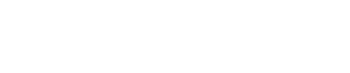 WCEI Education Institute logo