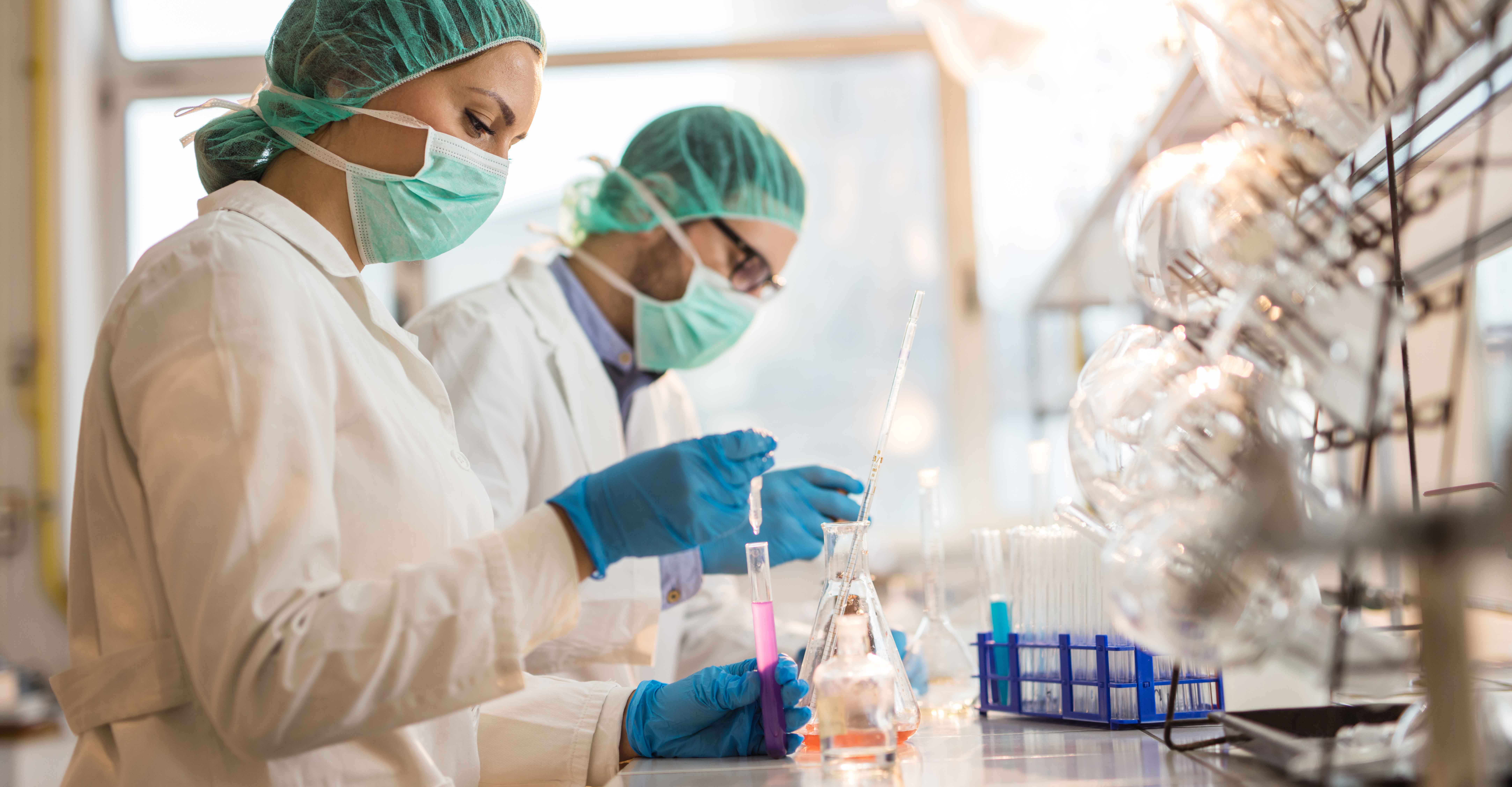wound healing research