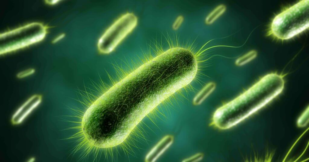 Dakin's solution and acetic acid can help minimize bacterial infections