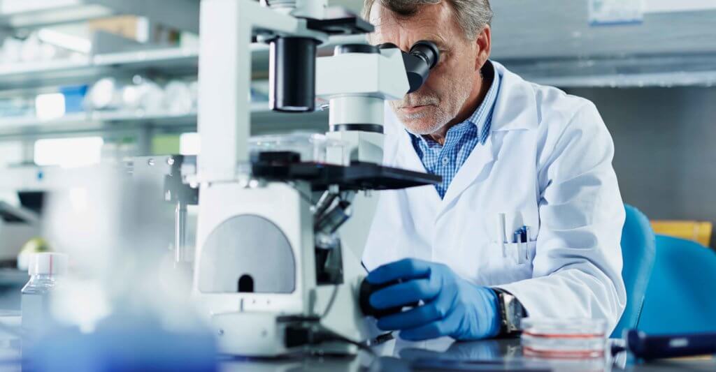 wound healing research